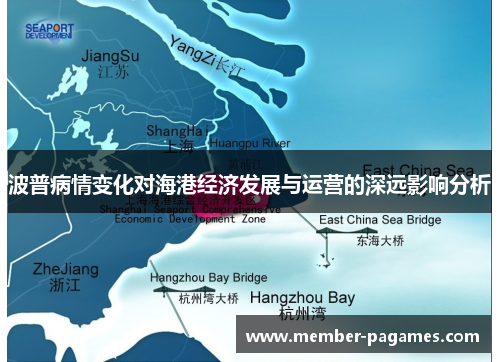 波普病情变化对海港经济发展与运营的深远影响分析
