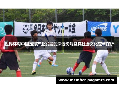 世界杯对中国足球产业发展的深远影响及其社会文化变革探析