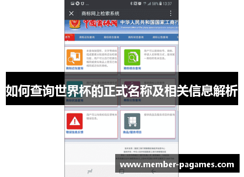 如何查询世界杯的正式名称及相关信息解析
