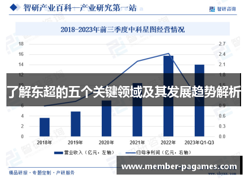 了解东超的五个关键领域及其发展趋势解析