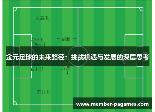 金元足球的未来路径：挑战机遇与发展的深层思考