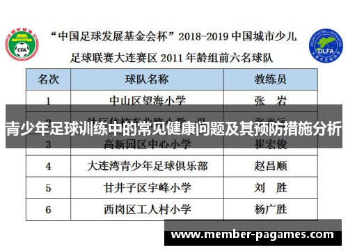 青少年足球训练中的常见健康问题及其预防措施分析
